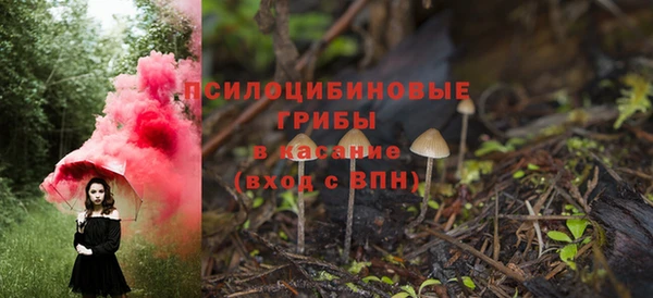 ПСИЛОЦИБИНОВЫЕ ГРИБЫ Верхний Тагил
