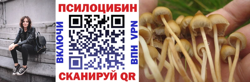 Псилоцибиновые грибы Psilocybe  закладка  Калининск 